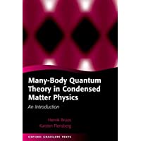 Many-Body Quantum Theory in Condensed Matter Physics: An Introduction (Oxford Graduate Texts)
